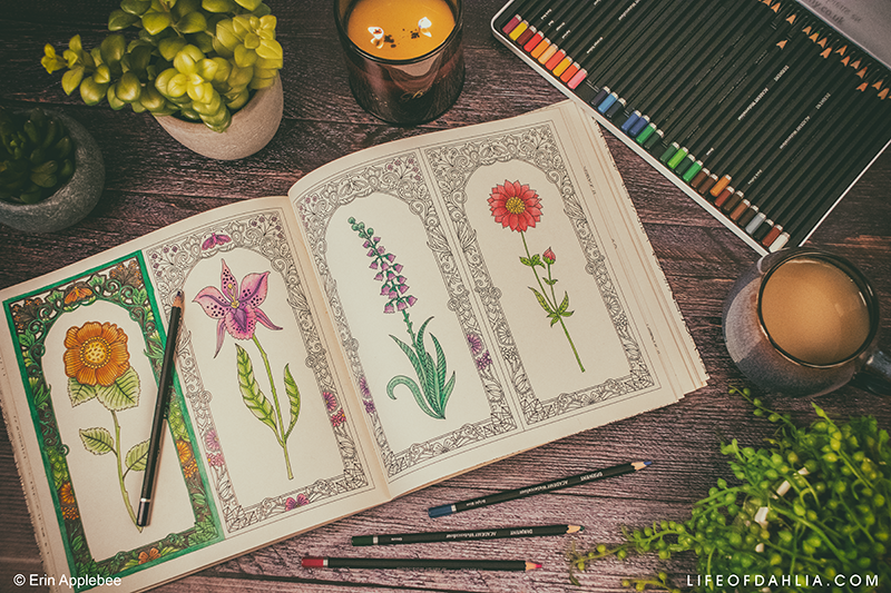 Colour With Me - My Colouring Book Collection | Life of Dahlia